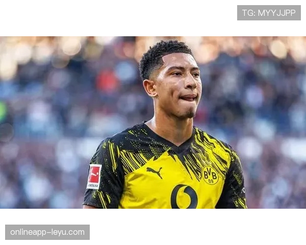 德甲夏窗转会揭示球队战略转向，新星崛起成焦点