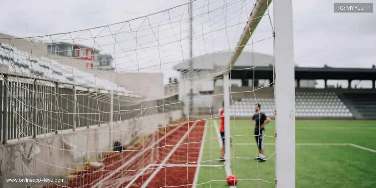 专业解说,深度剖析!🎙️